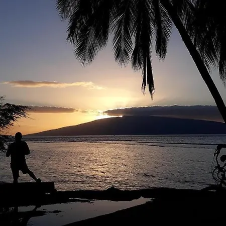 Deluxe Oceanview Maui Studio..New & Updated Kahana Exterior photo