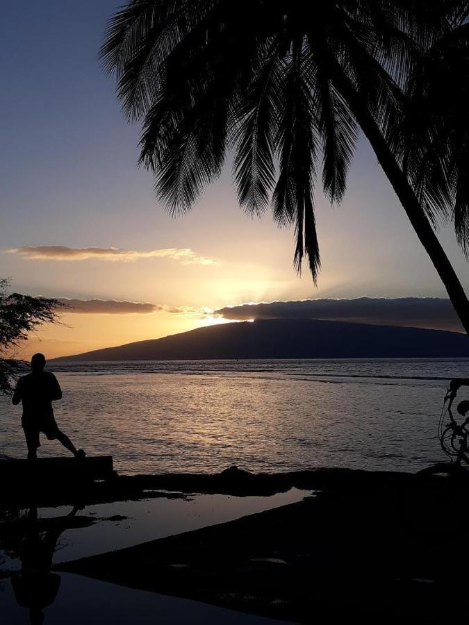 Deluxe Oceanview Maui Studio..new & Updated *